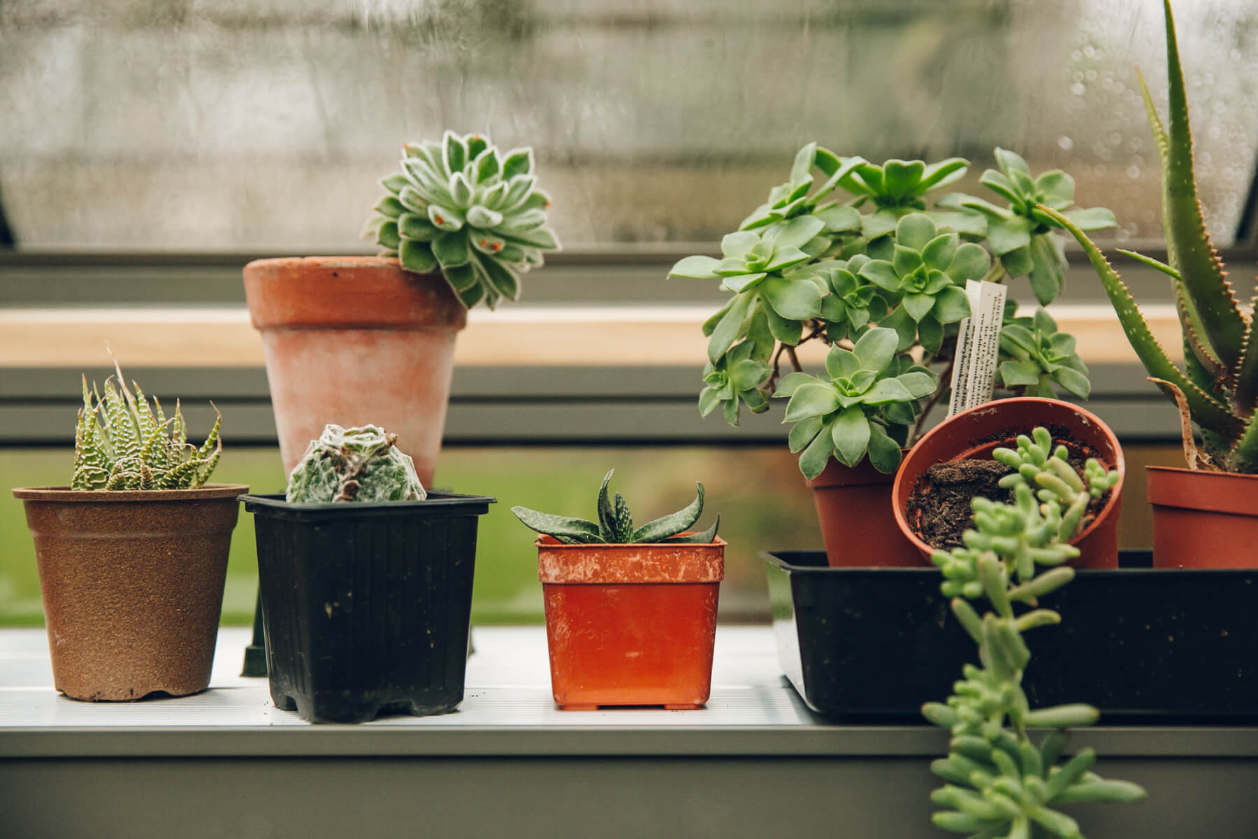 greenhouse shelving